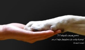 406565bbf3bc8612be83a4f92e758592