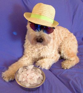 16149437359_ab94380df9_o