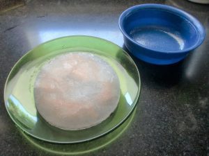 polo de pavo para perros