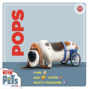 Pets_pops_traiding-600x600