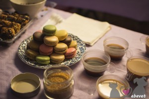 inauguracion ebavet 17