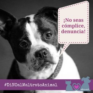 Di No al Maltrato Animal