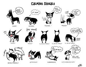 CalmingSignalsPoster