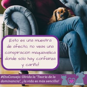 dominancia perros ebavet