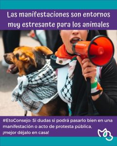 manifestación con animales