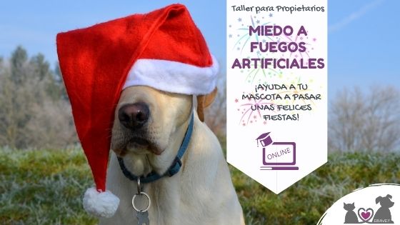 miedo fuegos artificiales ebavet