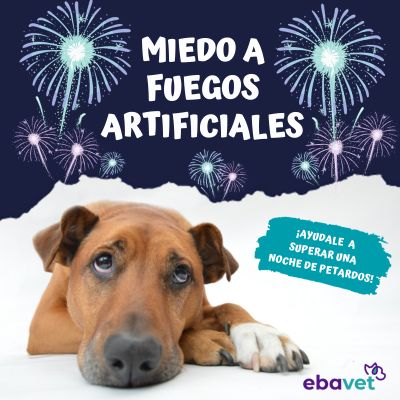 miedo a fuegos artificiales