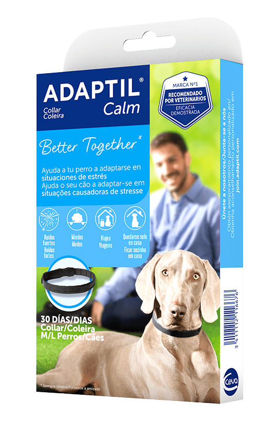 adaptil calm collar