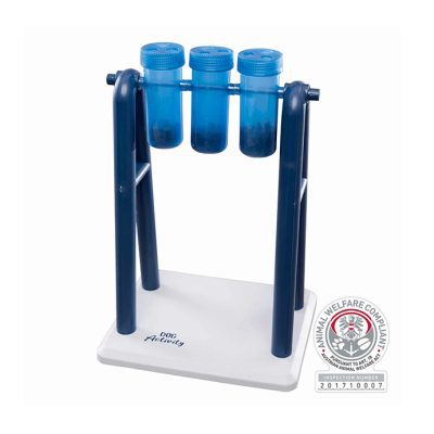 Dog Activity Turn Around