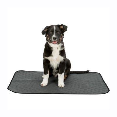 Empapador reutilizable Nappy Wash