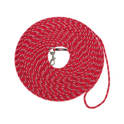 Junior Correa de Rastreo para Cachorros