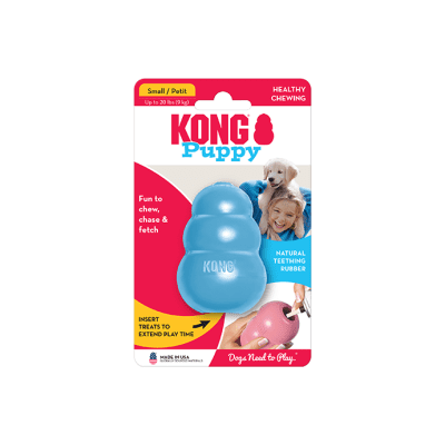 Kong puppy