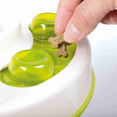 Slide&Feed. Dog Activity