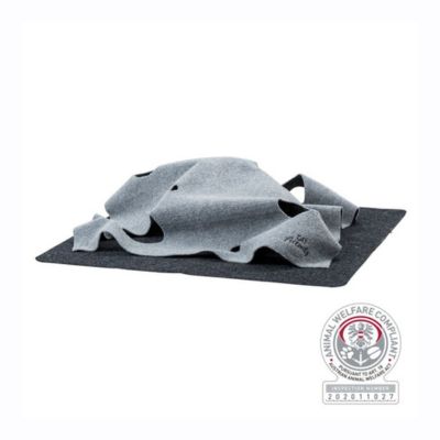 Cat Activity Adventure Carpet